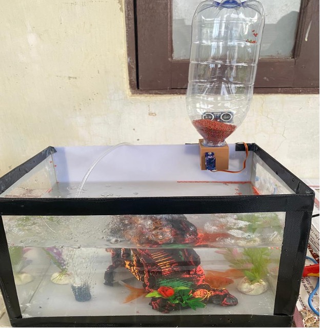 Foto 4